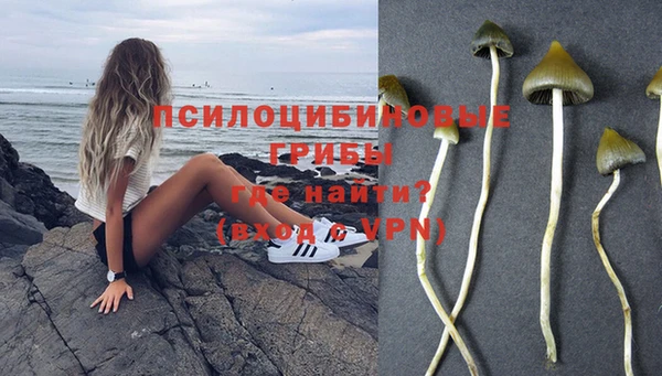 винт Протвино